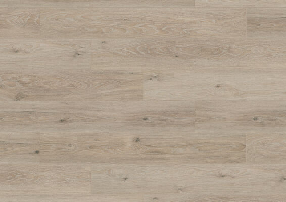 Friends by ter Hürne Laminat Friends Laminat Eiche Lucia linear-geport Landhausdiele 1288 x 8 x 195 mm 1188020005 | 74275