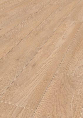  Friends by ter Hürne Laminat Friends Laminat Eiche Flavio linear-gebürstet Landhausdiele 1288 x 8 x 195 mm 1188020009 | 74314