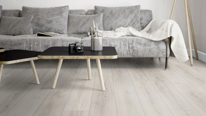  Friends by ter Hürne Laminat Friends Laminat Eiche Blanka linear-gebürstet Landhausdiele 1288 x 8 x 195 mm 1188020012 | 74341