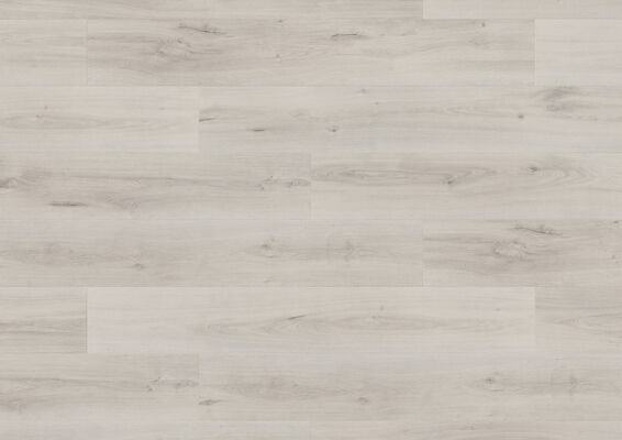  Friends by ter Hürne Laminat Friends Laminat Eiche Blanka linear-gebürstet Landhausdiele 1288 x 8 x 195 mm 1188020012 | 74347