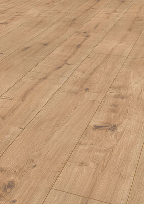  Friends by ter Hürne Laminat Friends Laminatboden Eiche Rafaela linear-gebürstet Landhausdiele 1188020022 | 74458