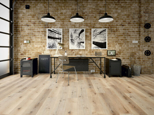  Friends by ter Hürne Vinyl Friends Design-Vinylboden Eiche Carl gebürstet Dryback Landhausdiele DRB Landhausdiele Eiche Carl 2236 1188210005 | 74674