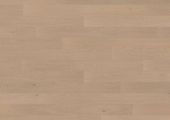  Friends by ter Hürne Hywood Friends Hywood Eiche Beat ausgeglichen gebürstet EVO Landhausdiele Hywood Landhausdiele 1188280013 | 75001