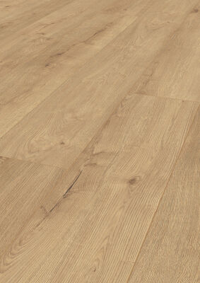  ter Hürne Grand Edition Laminatboden grob-strukturiert Lange Landhausdiele Iko Premium-Laminatboden Eiche Music Store 2003x245x10 mm 1101021846 | 75454