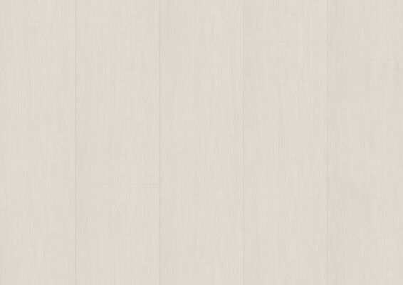  ter Hürne Decor Edition Dekorpaneel nicht strukturiert Paneel Softprofil UniqueDesign Birke grauweiß 2600x250x12 mm 1101130309 | 75646