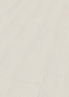 ter Hürne Decor Edition Dekorpaneel nicht strukturiert Paneel Softprofil UniqueDesign Birke grauweiß 2600x250x12 mm 1101130309 | 75652