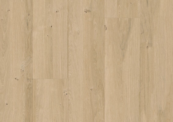  ter Hürne Decor Edition Dekor-Paneele strukturiert Paneel Softprofil UniqueDesign Eiche sand 1300x250x12 mm 1101130318 | 75766