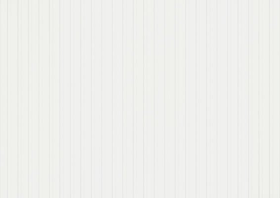  ter Hürne Linear Edition Dekorpaneel nicht strukturiert Paneel Linear UniqueDesign Uni kristallweiß/kristallweiß 2600x148x12 mm 1101130327 | 75880