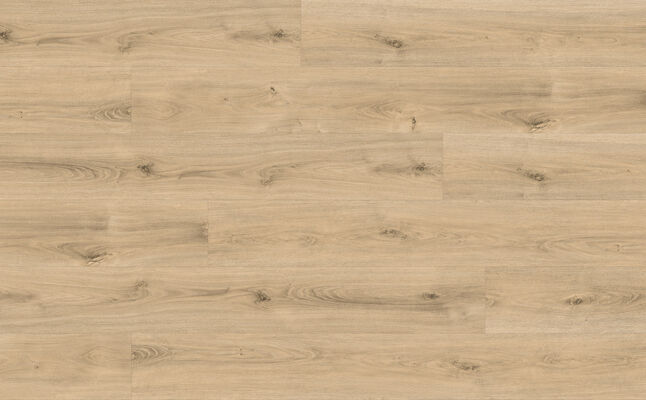  ter Hürne Wood Edition Design-Vinylboden Eiche Boston gebürstet Lange Landhausdiele Soya Comfort SEAL 2200x217x9,1 mm 1101200511 | 75952