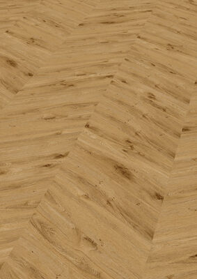  ter Hürne Chevron Edition Design-Vinylboden tief-gebürstet Chevron Soya Design-Vinylboden 1 Eiche York Perform 665,4x145x6 mm 1101240702 | 78538