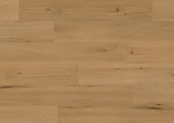 ter Hürne Wood Edition Design-Vinylboden gebürstet Lange Landhausdiele Soya Design-Vinylboden 2 Eiche Lyon Solid 1517,7x235x6 mm 1101290001 | 79168