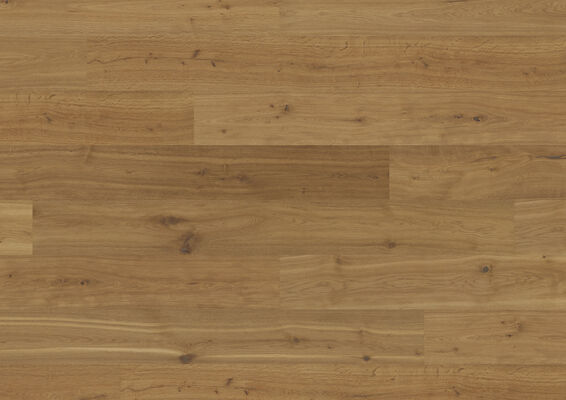 ter Hürne Noblesse Collection Hywood Eiche Yosemite rustic gebürstet Schlossdiele 2375x270x11 mm 1101280127 | 79333