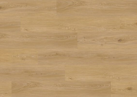  ter Hürne Wood Edition Design-Vinylboden gebürstet Lange Landhausdiele Soya Design-Vinylboden 2 Eiche Den Haag Solid 1522x240x6 mm 1101290010 | 79816