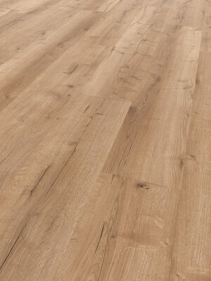  ter Hürne Wood Edition Design-Vinylboden gebürstet Lange Landhausdiele Soya Design-Vinylboden 2 Eiche Bristol Solid 1522x240x6 mm 1101290011 | 79861