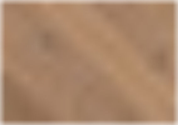  Bennett & Jones Shire Landscapes Parkett Oak No.2 - Cornwall plank tradition tradition handgehobelt, gebürstet, gebeizt, naturgeölt Landhausdiele Oak No.2 - Cornwall plank tradition 1900x190x15 mm 1148011202 | 82357