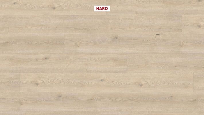  HARO TRITTY 100 Laminat Eiche Contura steingrau authentic Gran Via 2200x243x8mm 531917 | 87844