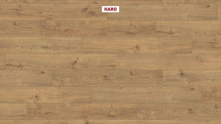  HARO TRITTY 100 Laminat Eiche Portland natur authentic Landhausdiele 1282x193x8mm 533123 | 87856