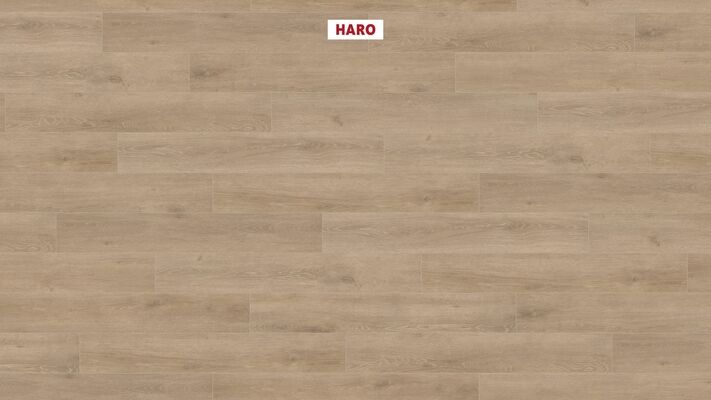  HARO TRITTY 100 Laminat Eiche Veneto crema authentic matt Landhausdiele 1282x193x8mm 535261 | 87880
