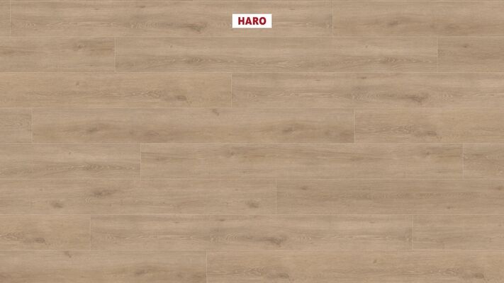  HARO TRITTY 100 Laminat Eiche Veneto crema authentic matt Gran Via 2200x243x8mm 535269 | 87886