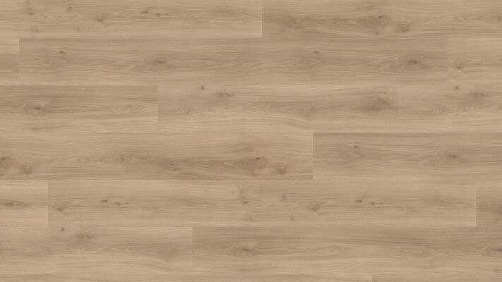  HARO TRITTY 100 Laminat Eiche Emilia puro authentic soft Gran Via 2200x243x8mm 538769 | 87925