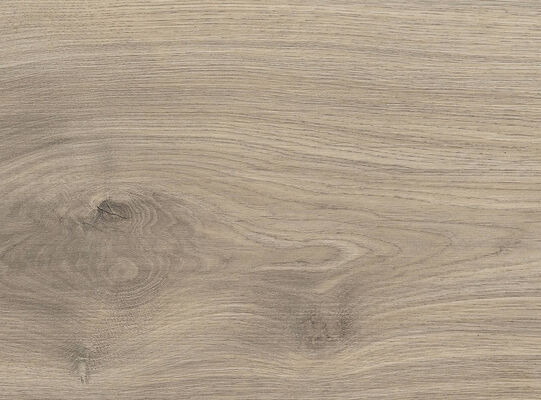  HARO TRITTY 100 Laminat Eiche Emilia samtgrau authentic soft Gran Via 2200x243x8mm 538770 | 87937