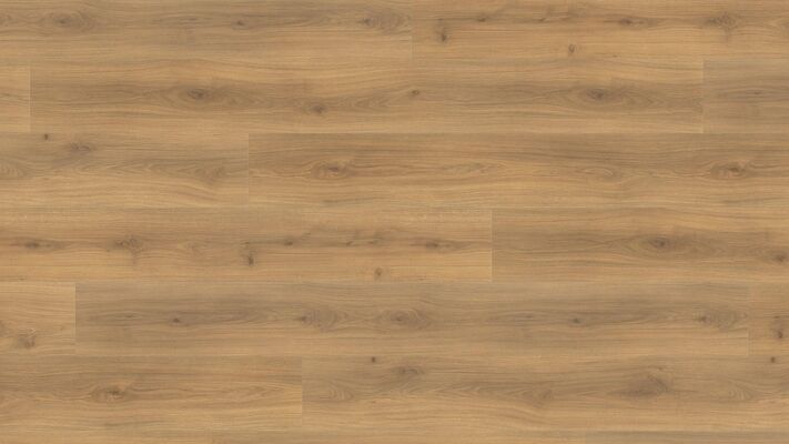  HARO TRITTY 100 Laminat Eiche Emilia Honig authentic soft Gran Via 2200x243x8mm 538772 | 87955