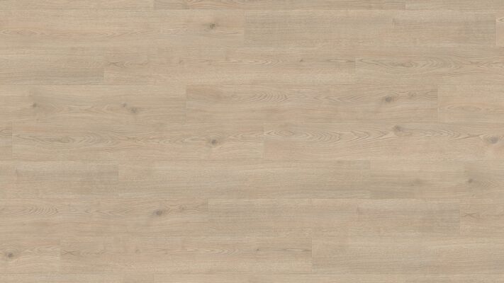  HARO TRITTY 200 Aqua Laminat Eiche Contura steingrau authentic Landhausdiele 1282x193x8mm 540239 | 88012