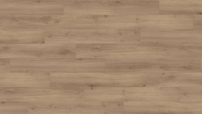  HARO TRITTY 200 Aqua Laminat Eiche Emilia puro authentic soft Landhausdiele 1282x193x8mm 540243 | 88042