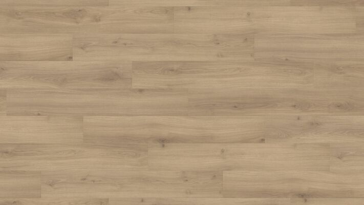  HARO TRITTY 200 Aqua Laminat Eiche Emilia puro authentic soft Landhausdiele 1282x193x8mm 540243 | 88045
