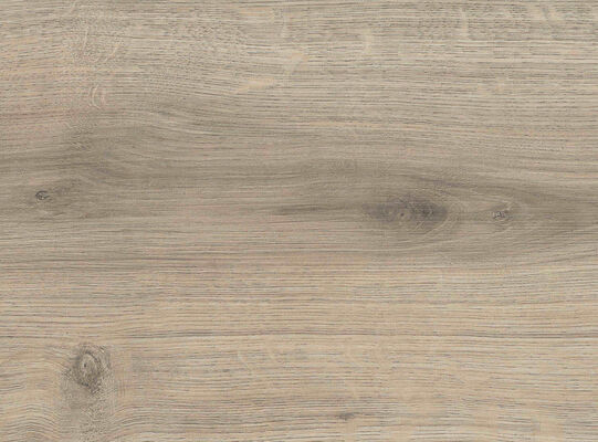 HARO TRITTY 200 Aqua Laminat Eiche Emilia samtgrau authentic soft Landhausdiele 1282x193x8mm 540244 | 88063