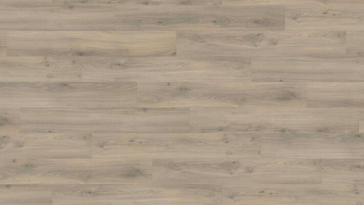  HARO TRITTY 200 Aqua Laminat Eiche Emilia samtgrau authentic soft Landhausdiele 1282x193x8mm 540244 | 88069