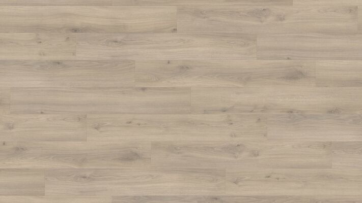  HARO TRITTY 200 Aqua Laminat Eiche Emilia samtgrau authentic soft Landhausdiele 1282x193x8mm 540244 | 88072