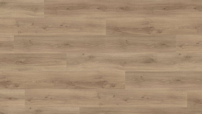  HARO TRITTY 200 Aqua Laminat Eiche Emilia puro authentic soft Gran Via 2200x243x8mm 540270 | 88162