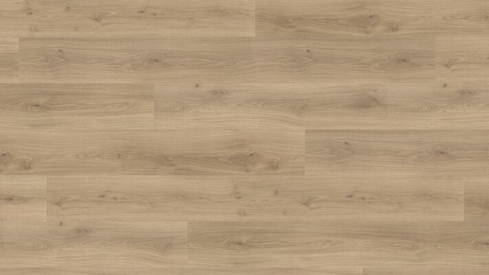  HARO TRITTY 200 Aqua Laminat Eiche Emilia puro authentic soft Gran Via 2200x243x8mm 540270 | 88165