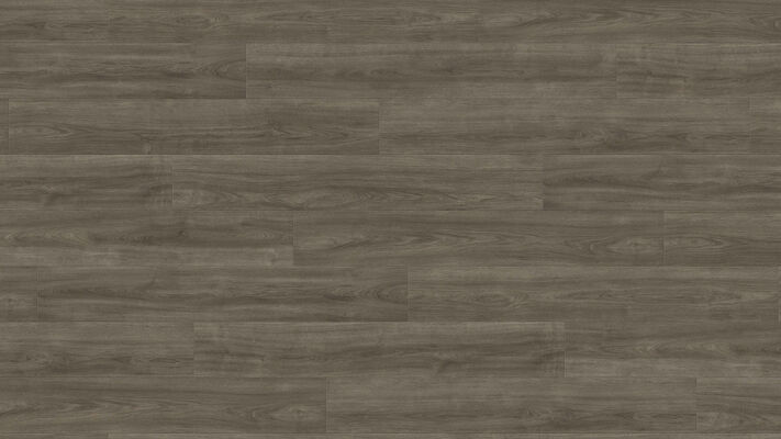  HARO TRITTY 200 Aqua Laminat Eiche Eleganza antikgrau authentic Landhausdiele 1282x193x8mm 541555 | 88213