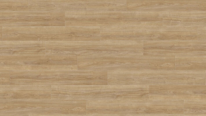  HARO TRITTY 100 Laminat Eiche Eleganza puro authentic Landhausdiele 1282x193x8mm 541474 | 88237