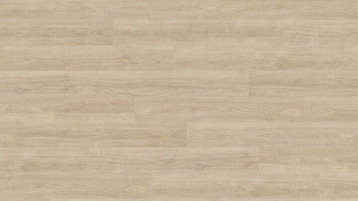  HARO TRITTY 100 Laminat Eiche Eleganza cremeweiß authentic Landhausdiele 1282x193x8mm 541475 | 88249