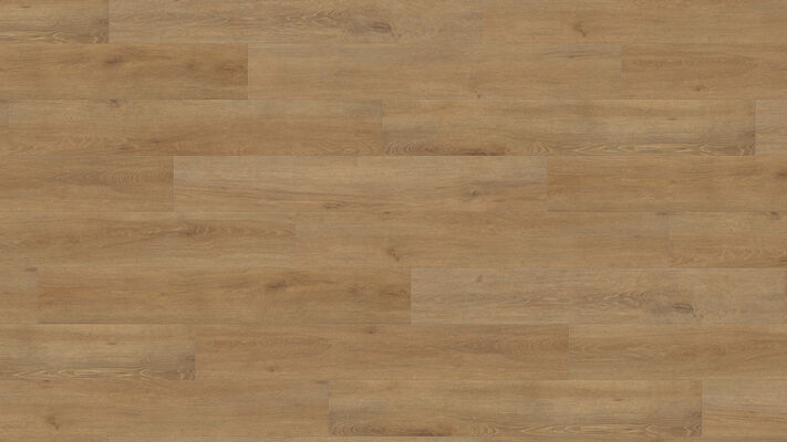  HARO TRITTY 100 Laminat Eiche Veneto natur authentic matt Landhausdiele 1282x193x8mm 541478 | 88273