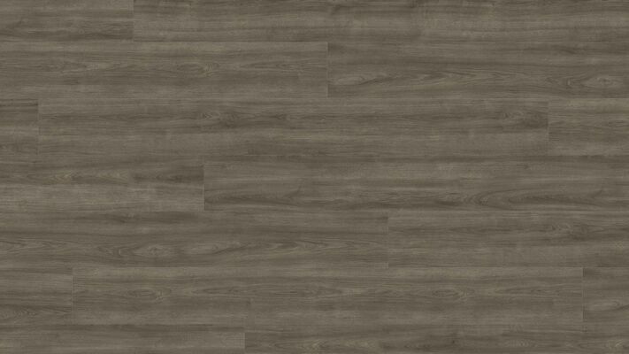  HARO TRITTY 100 Laminat Eiche Eleganza antikgrau authentic Gran Via 2200x243x8mm 541514 | 88285