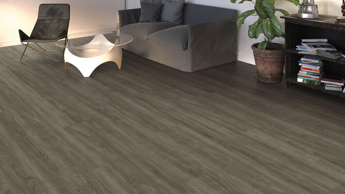  HARO TRITTY 100 Laminat Eiche Eleganza antikgrau authentic Gran Via 2200x243x8mm 541514 | 88291