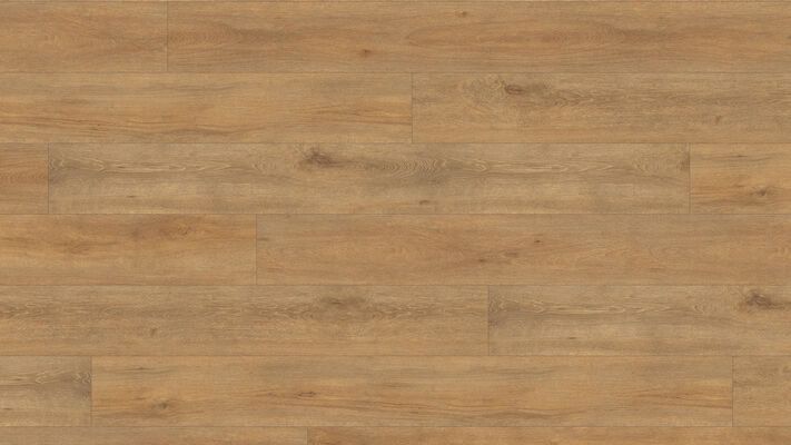  HARO TRITTY 100 Laminat Eiche Veneto natur authentic matt Gran Via 2200x243x8mm 541520 | 88327