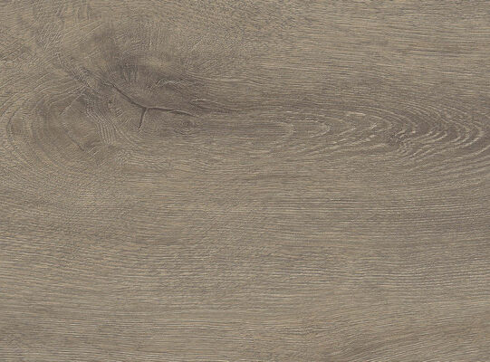  HARO TRITTY 100 Laminat Eiche Veneto mocca authentic matt Gran Via 2200x243x8mm 541521 | 88336
