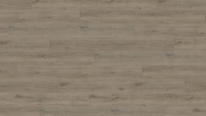  HARO TRITTY 100 Laminat Eiche Veneto mocca authentic matt Gran Via 2200x243x8mm 541521 | 88339