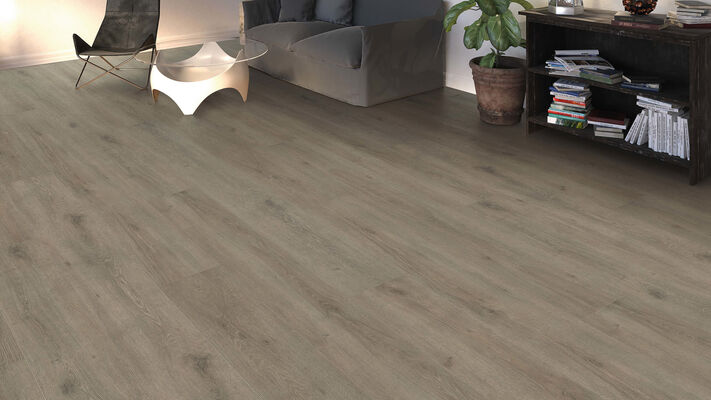  HARO TRITTY 100 Laminat Eiche Veneto mocca authentic matt Gran Via 2200x243x8mm 541521 | 88345