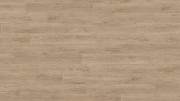  HARO TRITTY 200 Aqua Laminat Eiche Veneto crema authentic matt Landhausdiele 1282x193x8mm 541560 | 88420