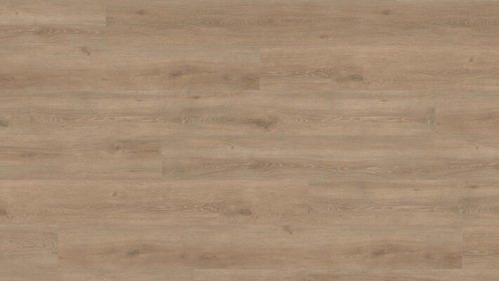 HARO TRITTY 200 Aqua Laminat Eiche Veneto crema authentic matt Gran Via 2200x243x8mm 541585 | 88489
