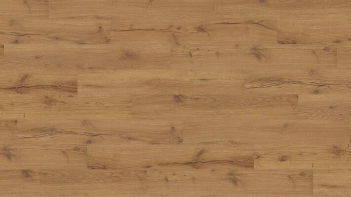  HARO TRITTY 100 Laminat Alpineiche natur authentic matt Landhausdiele 1282x193x8mm 542069 | 88798