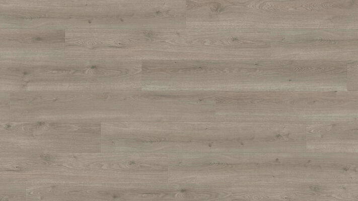  HARO TRITTY 100 Laminat Eiche Flavia grau authentic Landhausdiele 1282x10x193 mm 544703 | 88981