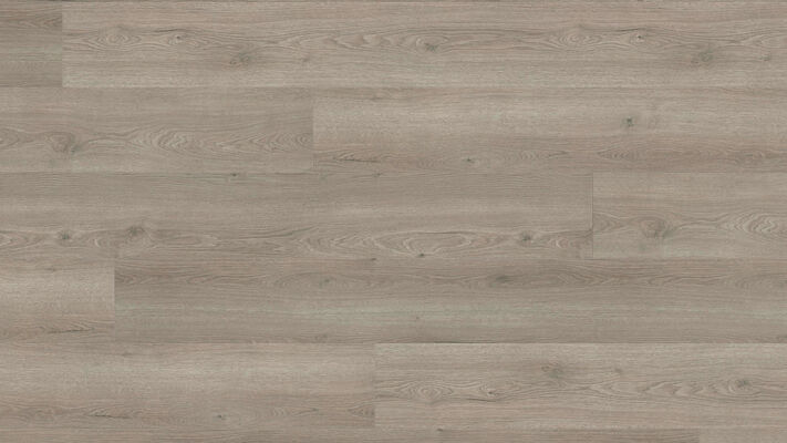  HARO TRITTY 100 Laminat Eiche Flavia grau authentic Gran Via 2200x10x243 mm 544727 | 89098