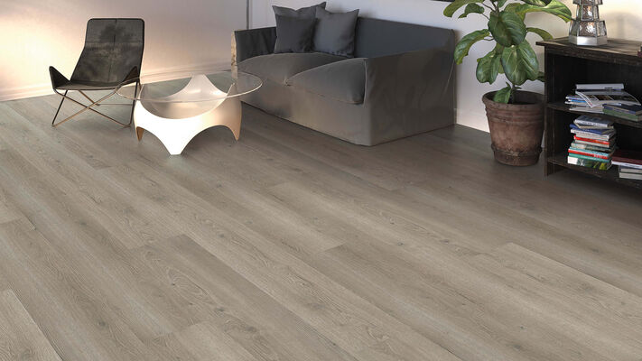  HARO TRITTY 200 Aqua Laminat Eiche Flavia grau authentic Gran Via 2200x10x243 mm 544791 | 89365